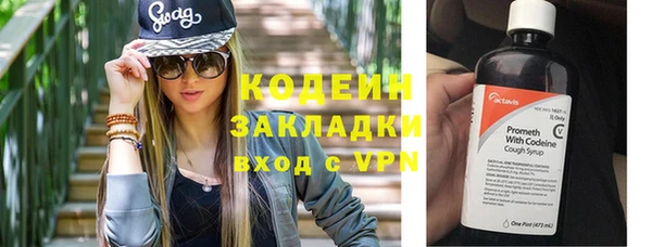 крисы Надым