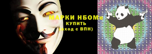 крисы Надым