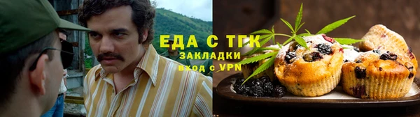 крисы Надым