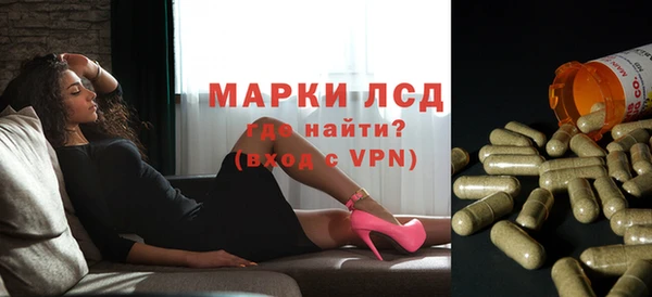 крисы Надым