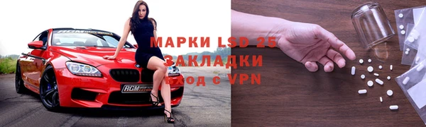 крисы Надым