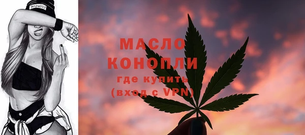 крисы Надым