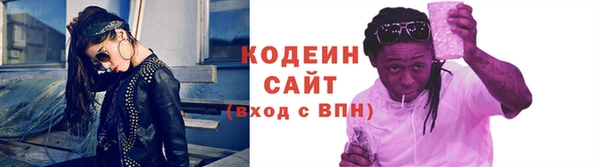 крисы Надым