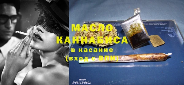 крисы Надым