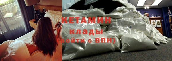 крисы Надым