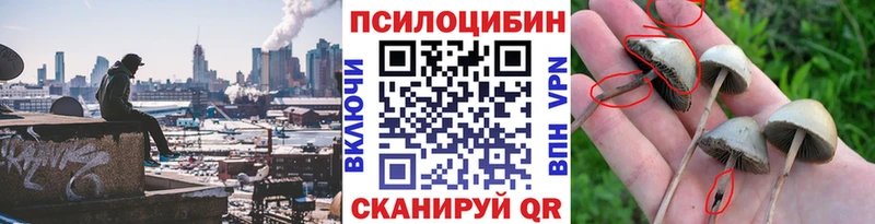 Галлюциногенные грибы прущие грибы  цена наркотик  Бахчисарай 