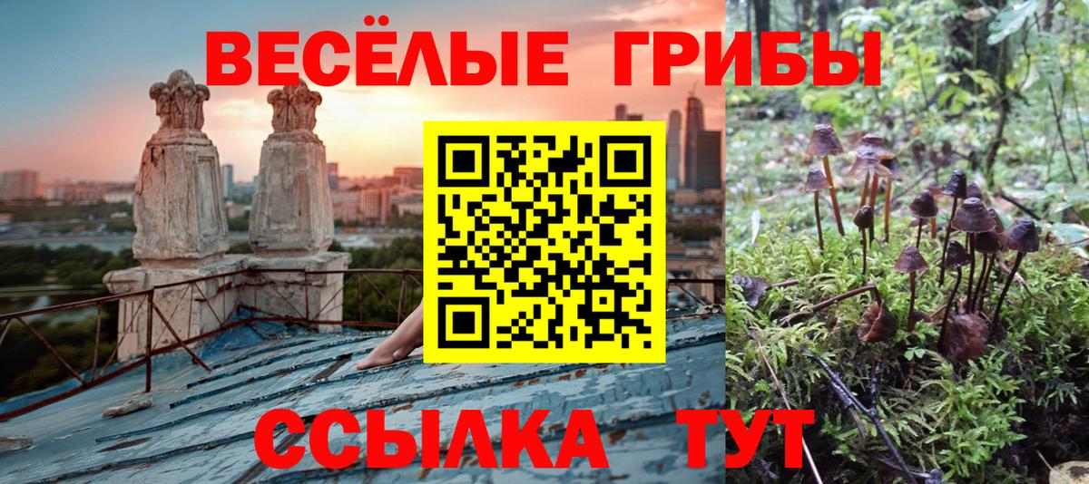 Псилоцибиновые грибы прущие грибы  где купить наркоту  Бахчисарай  Псилоцибиновые грибы MAGIC MUSHROOMS 