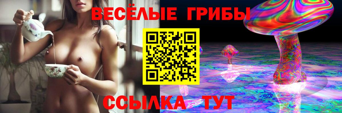 Псилоцибиновые грибы прущие грибы  Вход с VPN  Бахчисарай 